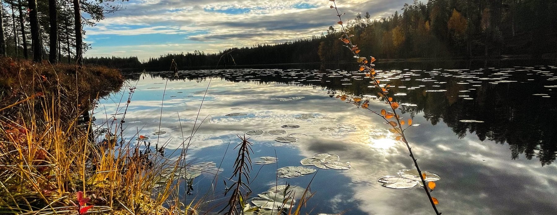 Järvimaisema ruskan väreissä