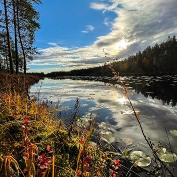 Järvimaisema ruskan väreissä